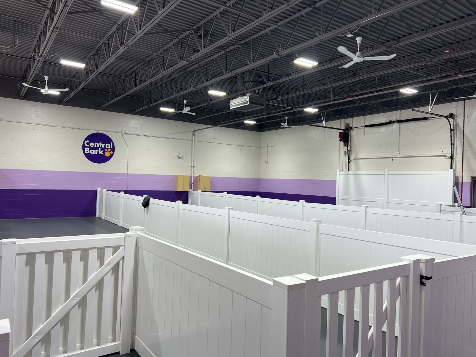 Pet daycare facility interior buildout
